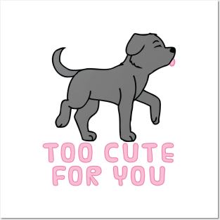 Too Cute For You (Black Lab) Posters and Art